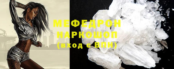 индика Горнозаводск