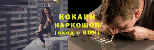 индика Горнозаводск
